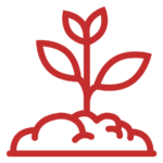 vedení